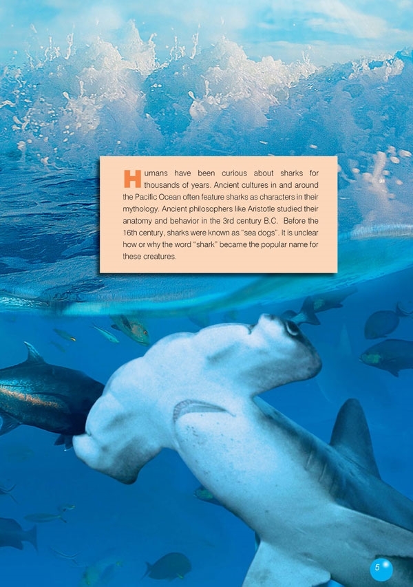 The Hammerhead Shark. Reader + DigiBook (kod)