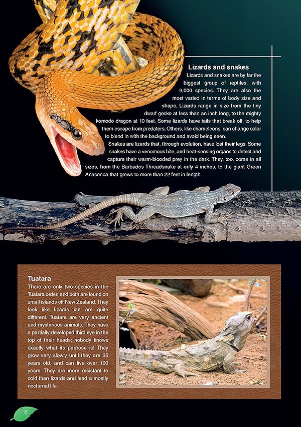 Saltwater Crocodiles. Reader + DigiBook (kod)