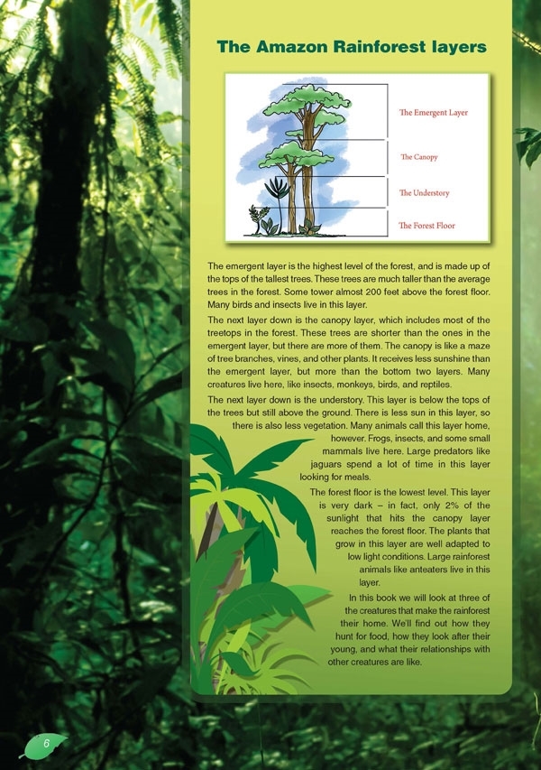 The Amazon Rainforest II. Reader + DigiBook (kod)