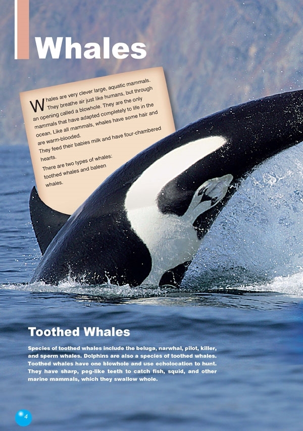The Humpback Whale. Reader + DigiBook (kod)